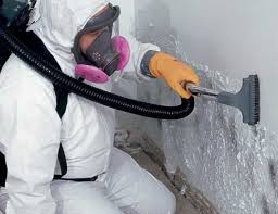 Best Water Damage & Mold Remediation  in USA